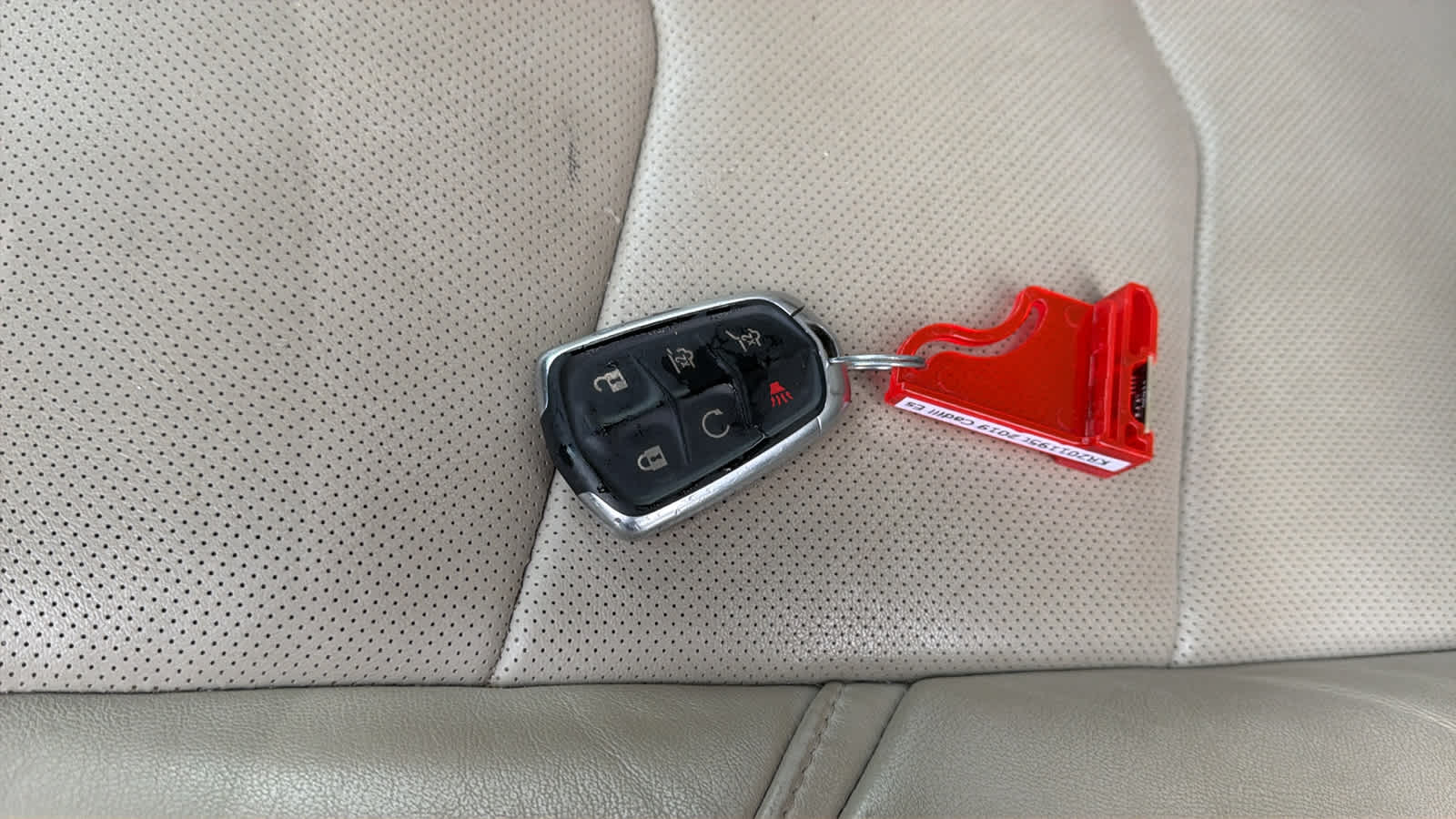 Thumbnail: 2019 Cadillac Escalade - 20