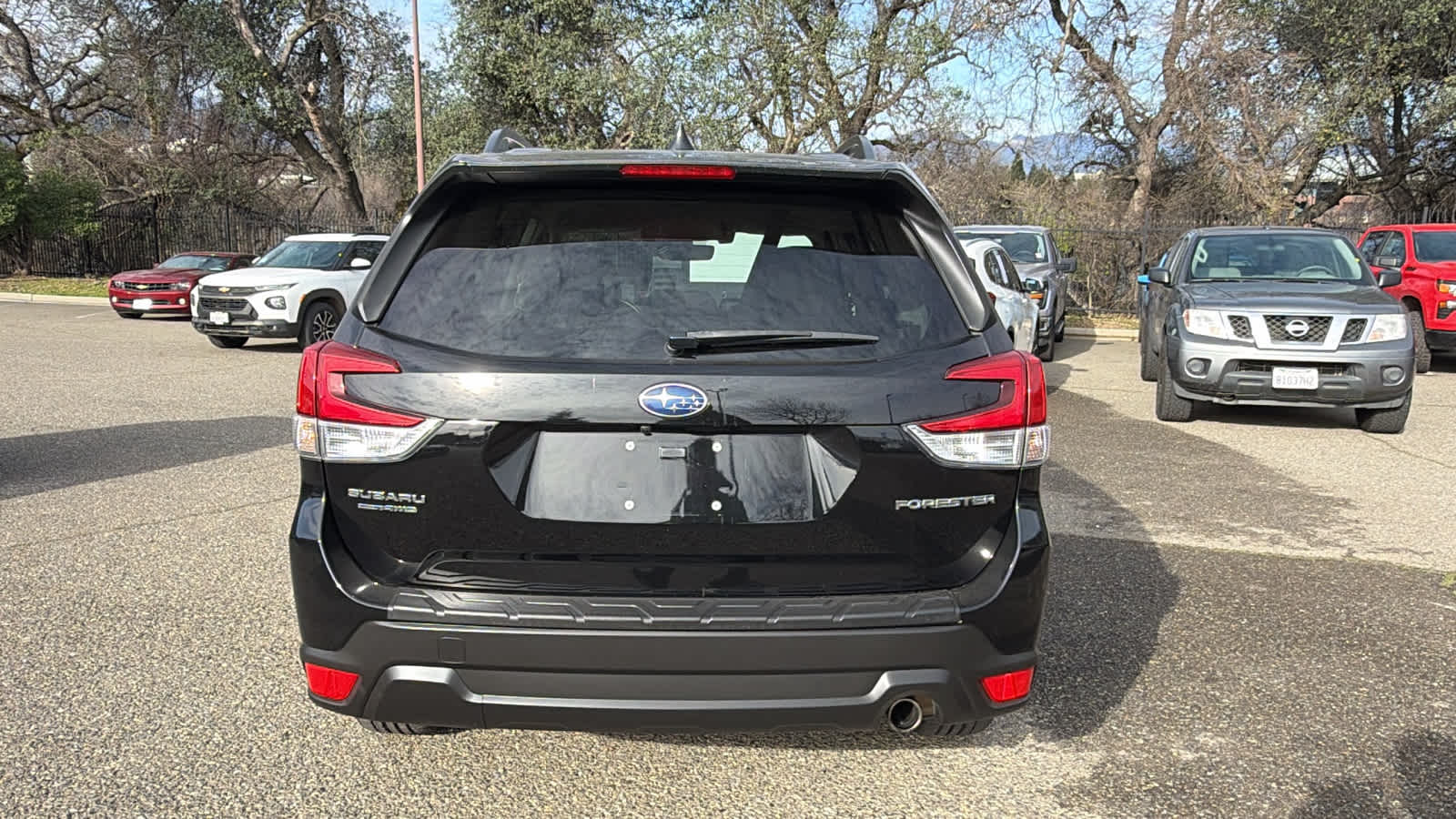 Thumbnail: 2020 Subaru Forester - 6