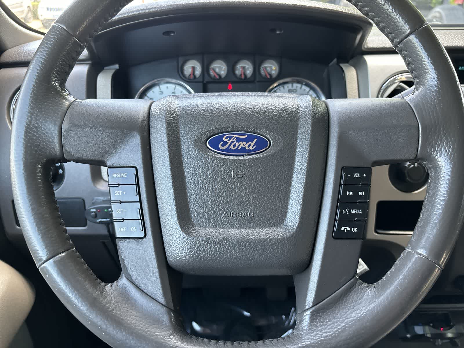 Thumbnail: 2010 Ford F-150 - 13