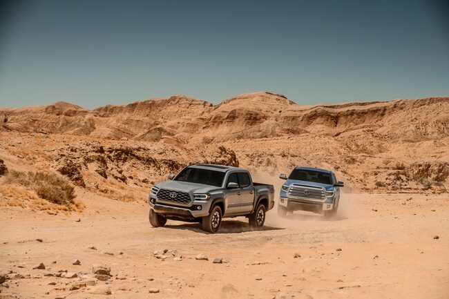 gray Toyota Tacoma and light blue Toyota Tundra trucks driving on desert sands