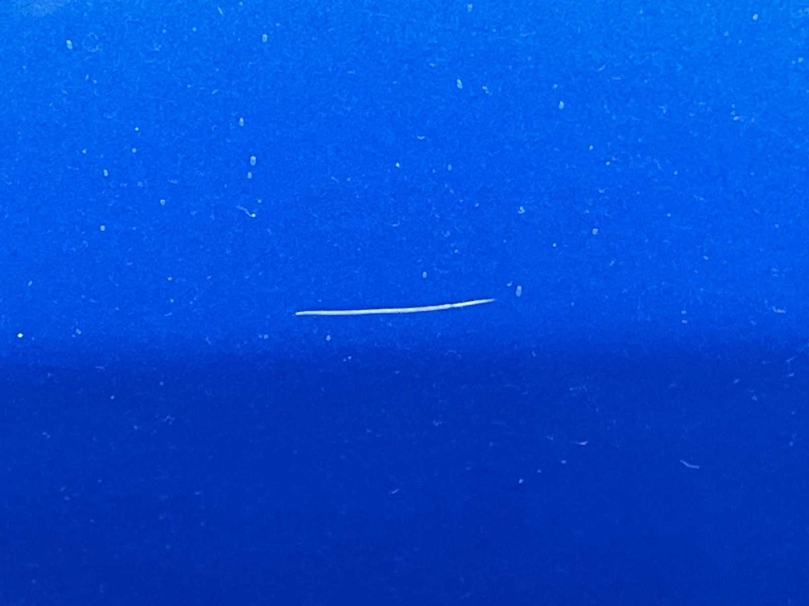 Thumbnail: 2024 Dodge Hornet - 22