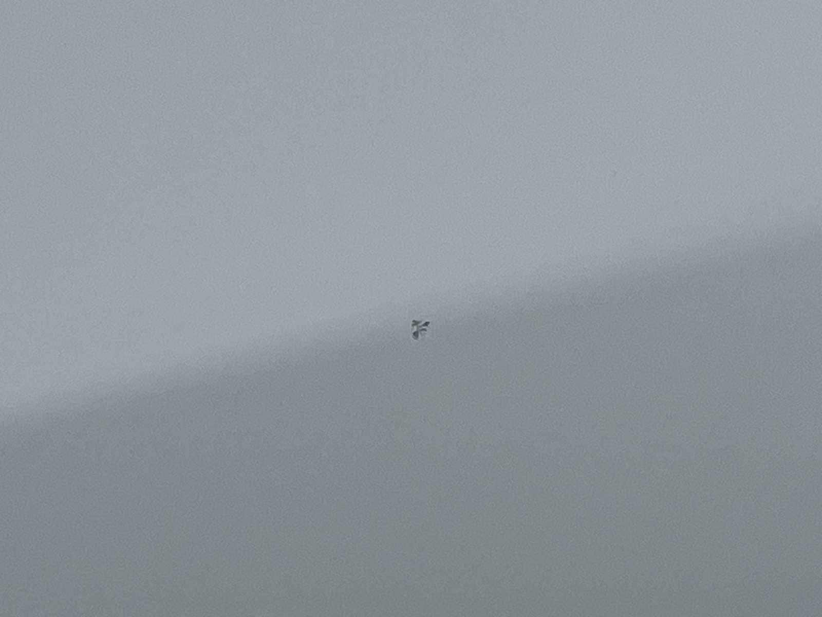 Thumbnail: 2024 Jeep Compass - 22