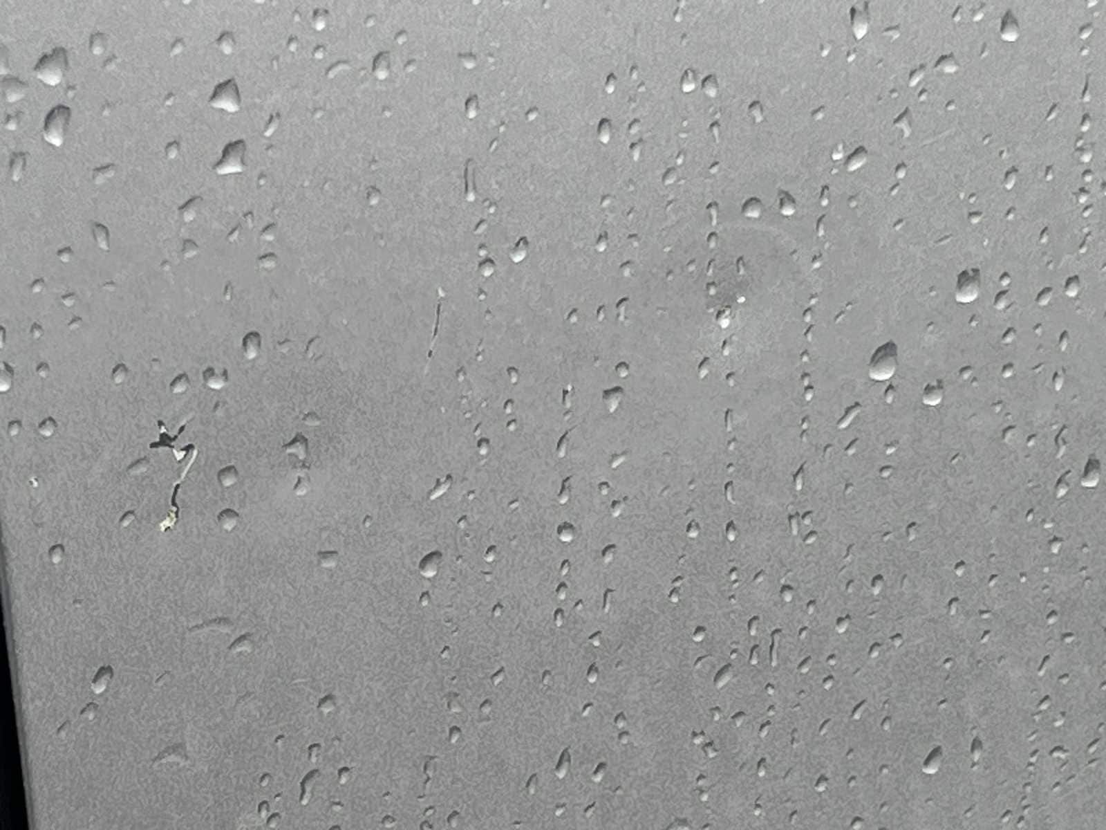 Thumbnail: 2019 Honda CR-V - 22