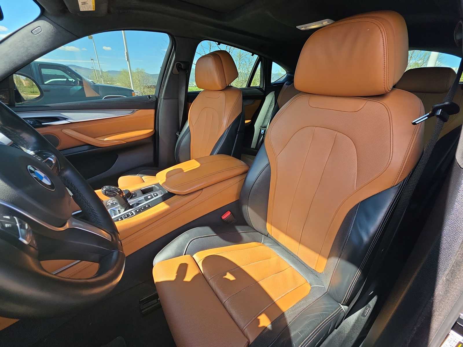 Thumbnail: 2017 BMW X6 - 10