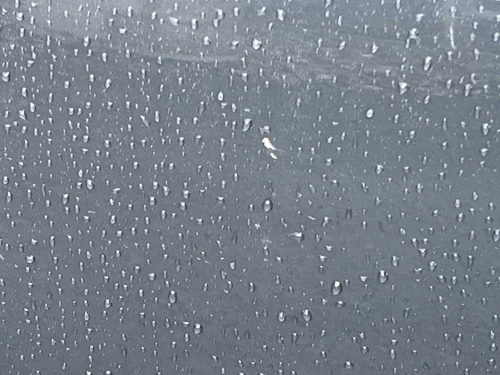 Thumbnail: 2024 Mazda CX-50 - 22