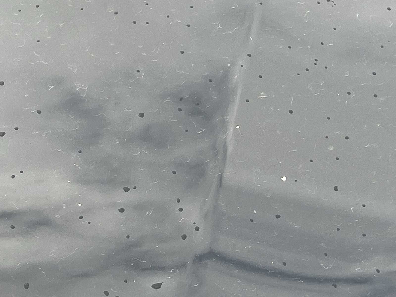 Thumbnail: 2019 Ford Taurus - 22