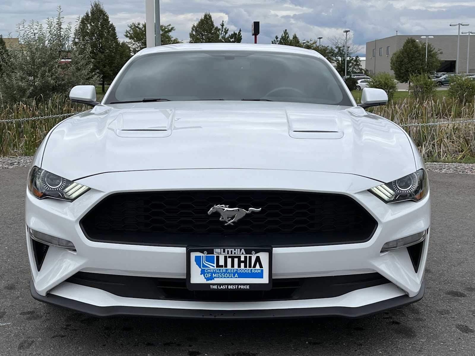 2019 Ford Mustang  6