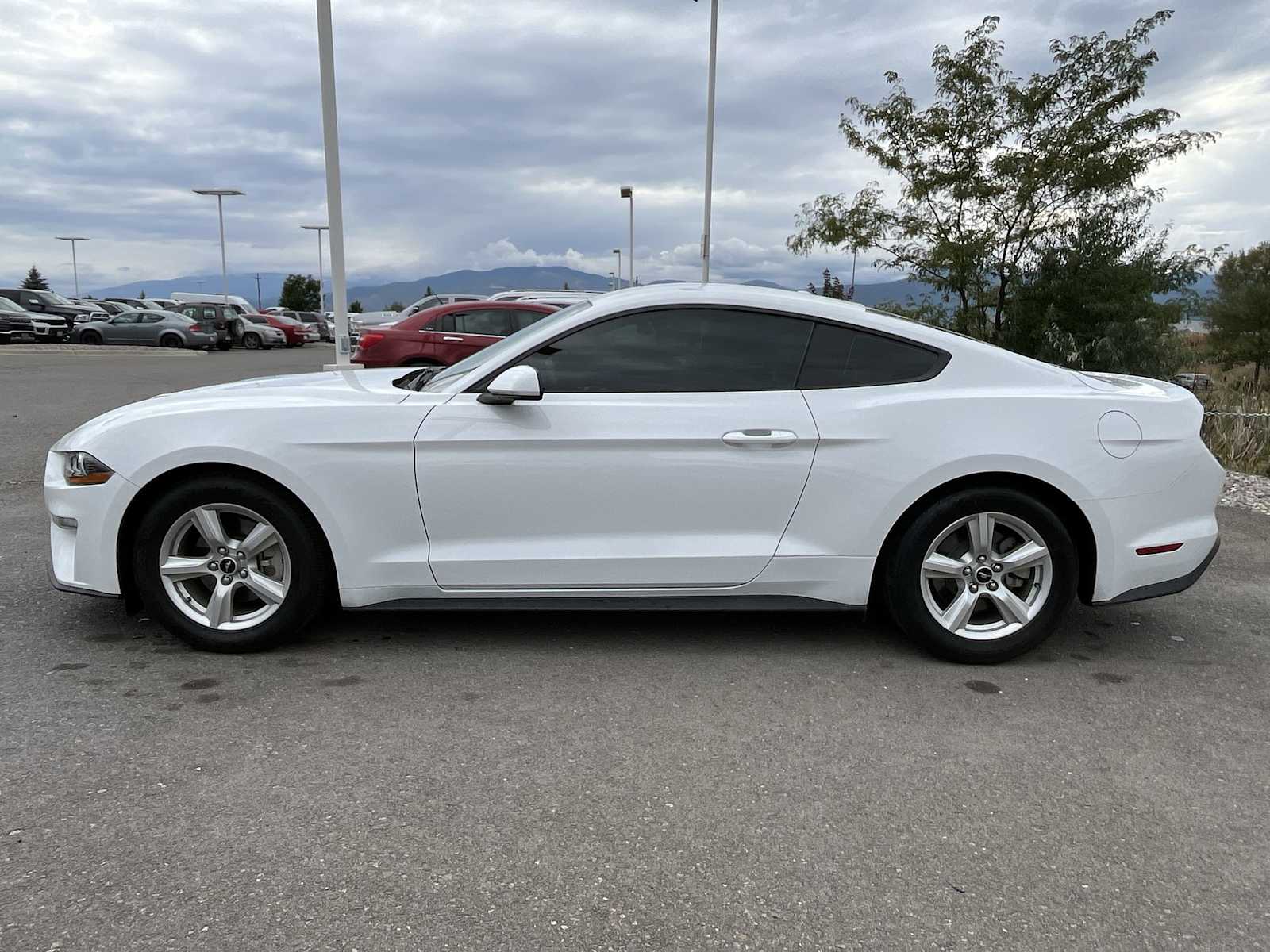 2019 Ford Mustang  3