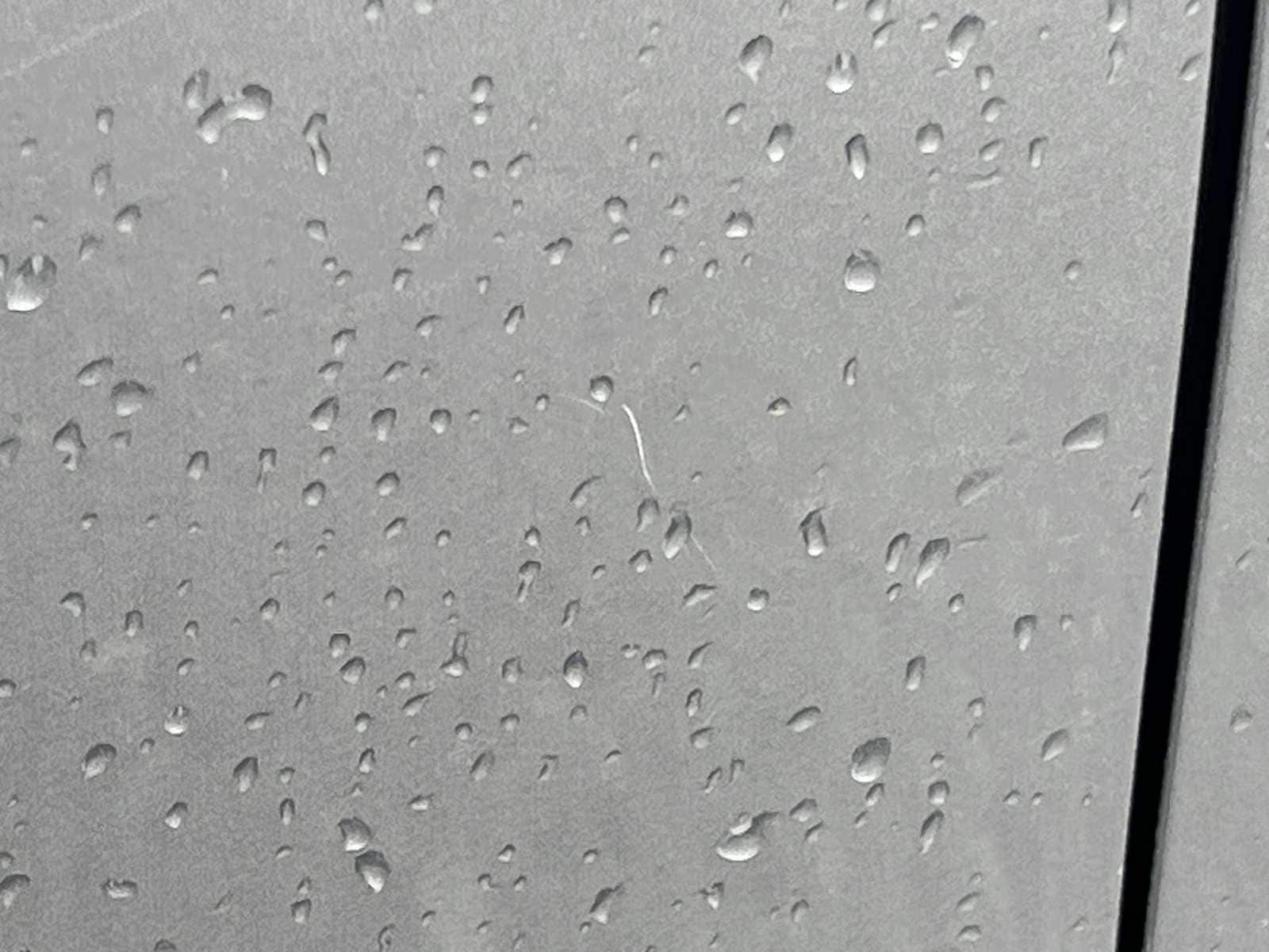 Thumbnail: 2019 Honda CR-V - 23