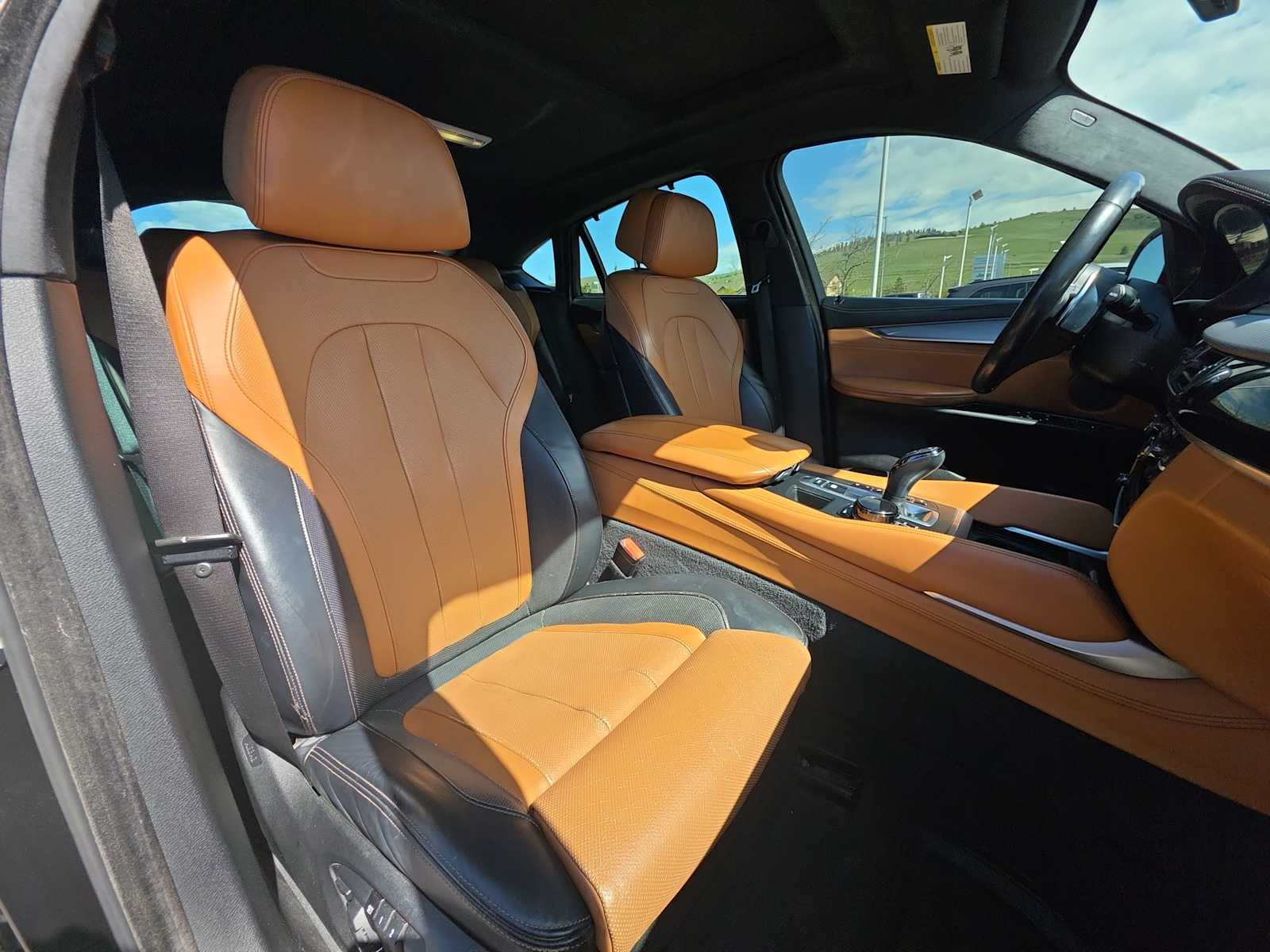 Thumbnail: 2017 BMW X6 - 13