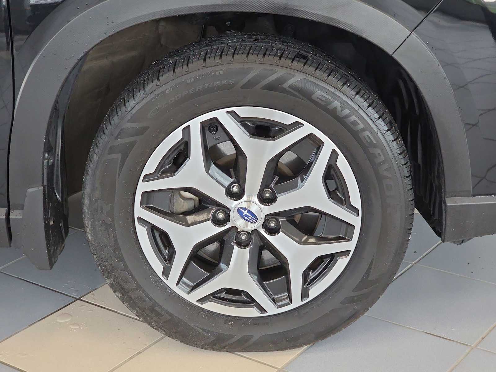 Thumbnail: 2019 Subaru Forester - 8
