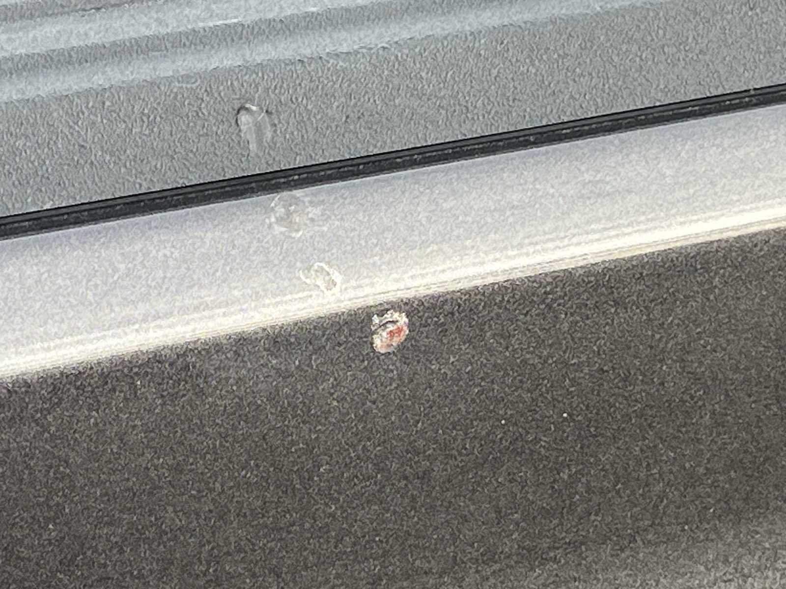 Thumbnail: 2020 Jeep Gladiator - 23