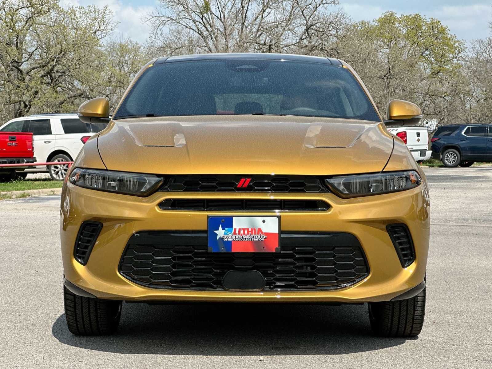 Thumbnail: 2024 Dodge Hornet - 10
