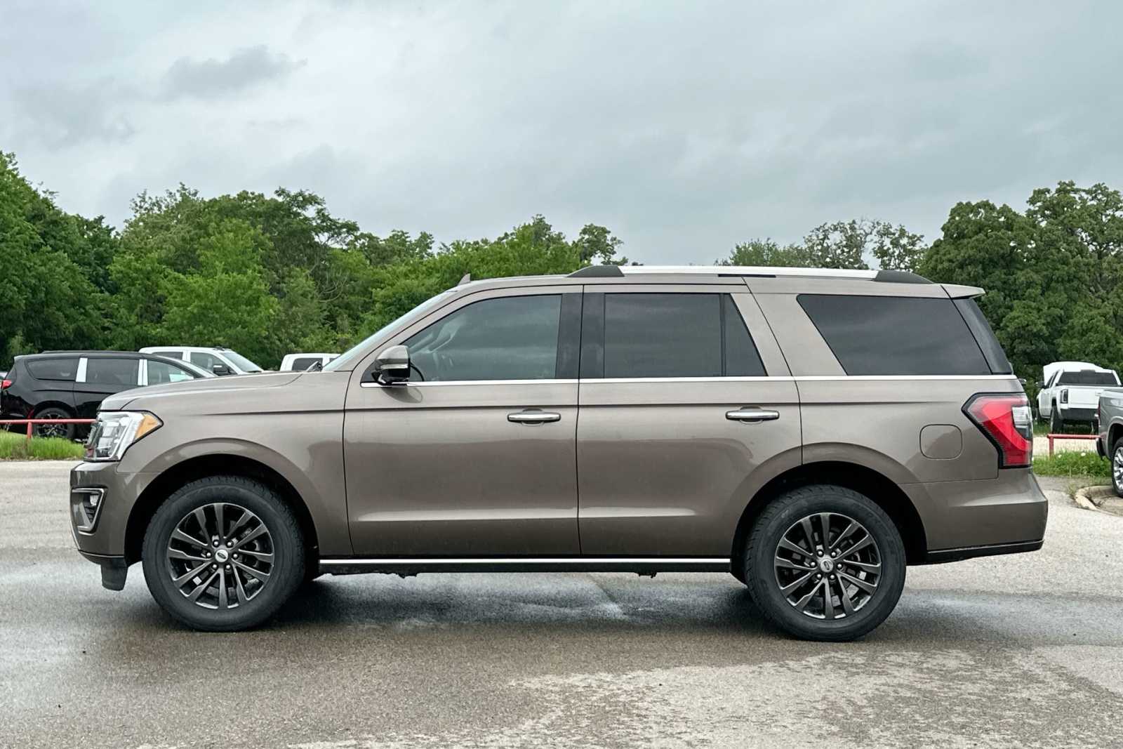 2019 Ford Expedition Limited 12