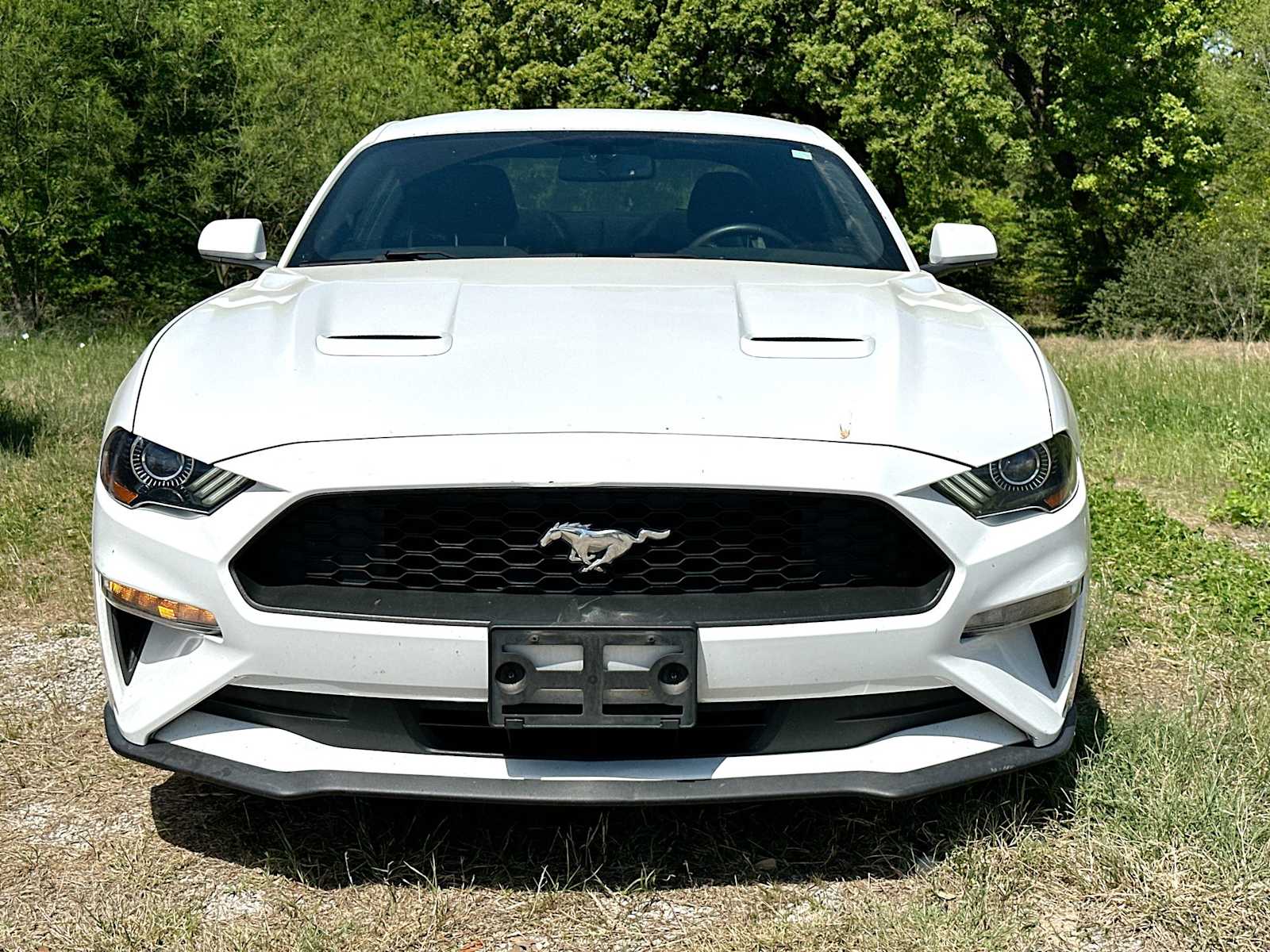 Used 2019 Ford Mustang EcoBoost with VIN 1FA6P8TH0K5175155 for sale in Bryan, TX