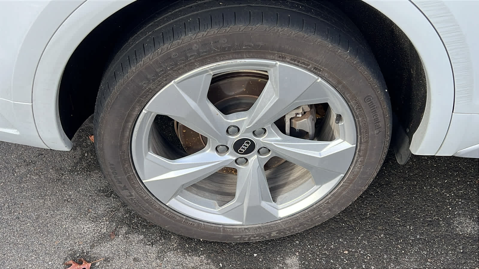 Thumbnail: 2021 Audi Q5 - 6