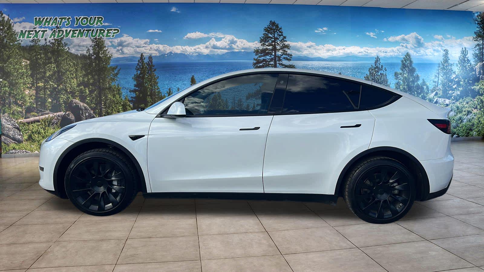 Thumbnail: 2023 Tesla Model Y - 8