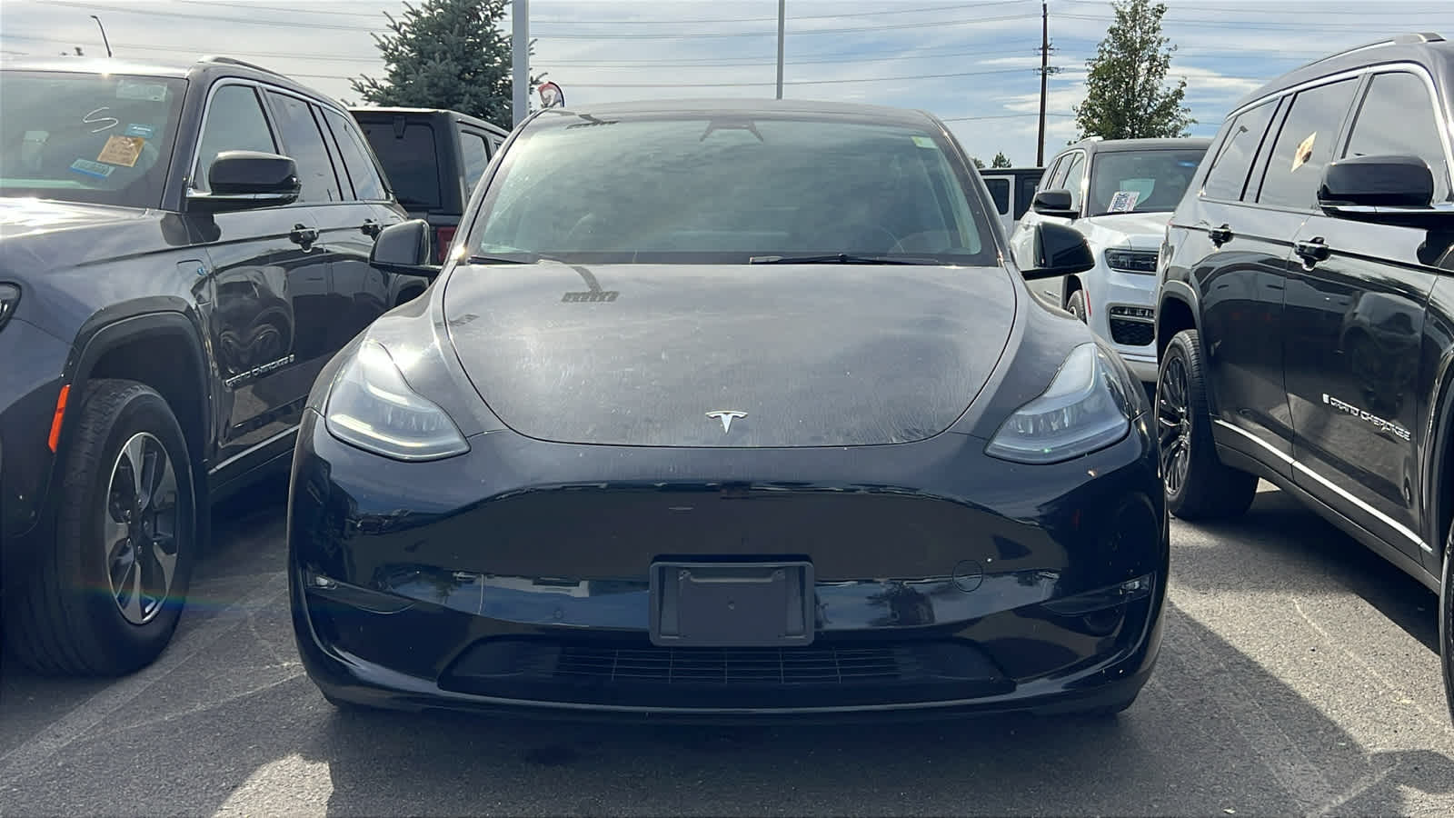 Used 2022 Tesla Model Y Performance with VIN 7SAYGDEF9NF395732 for sale in Reno, NV