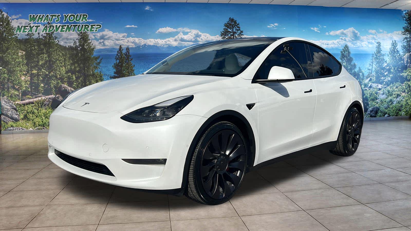 Thumbnail: 2022 Tesla Model Y - 1