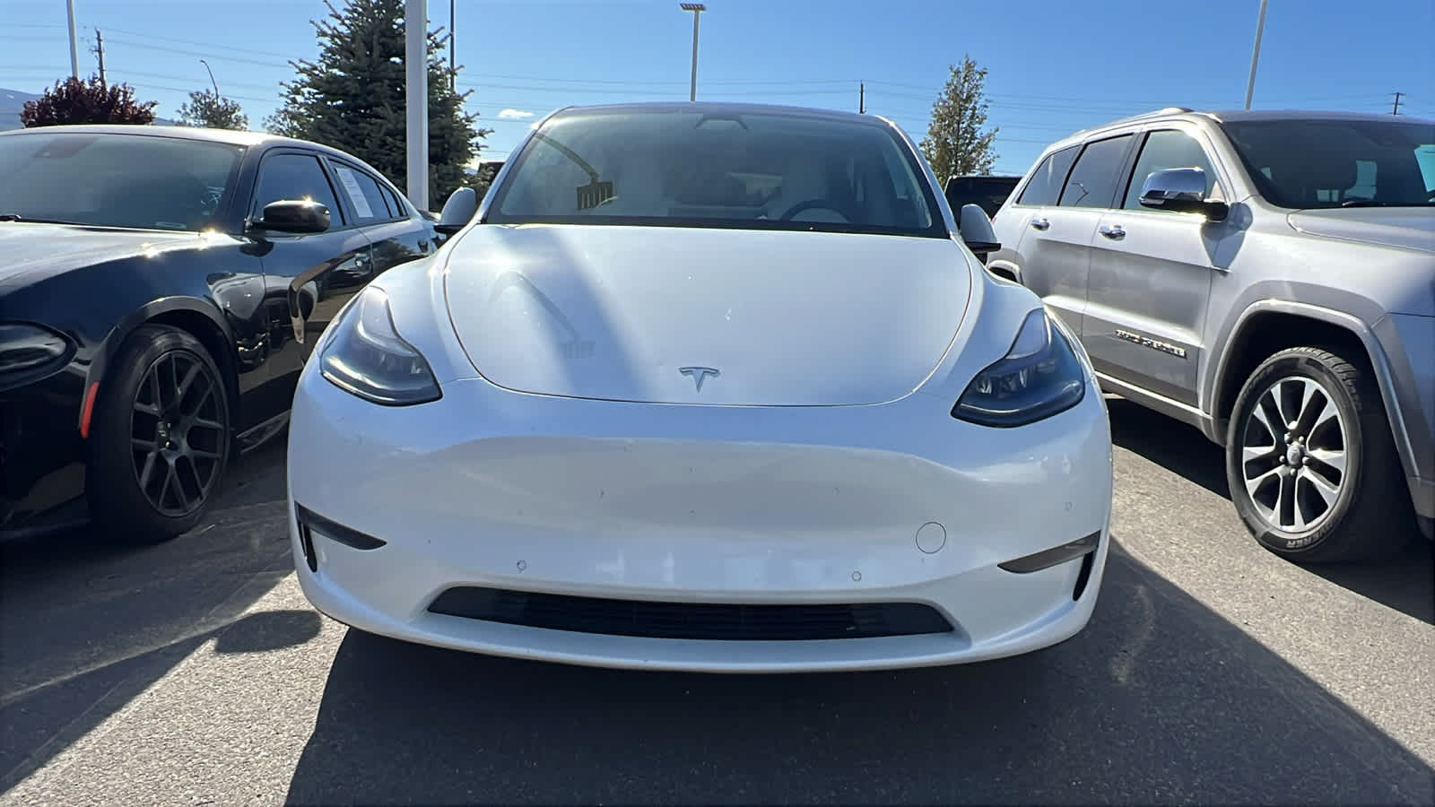 Used 2022 Tesla Model Y Performance with VIN 7SAYGDEFXNF344286 for sale in Reno, NV