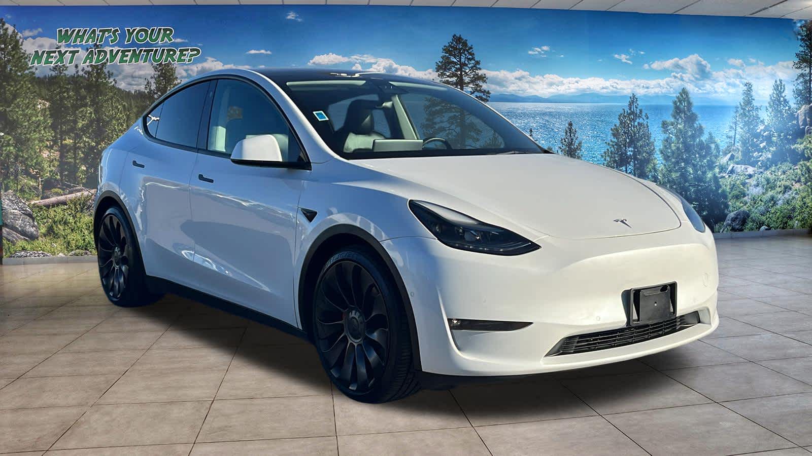 Thumbnail: 2022 Tesla Model Y - 3