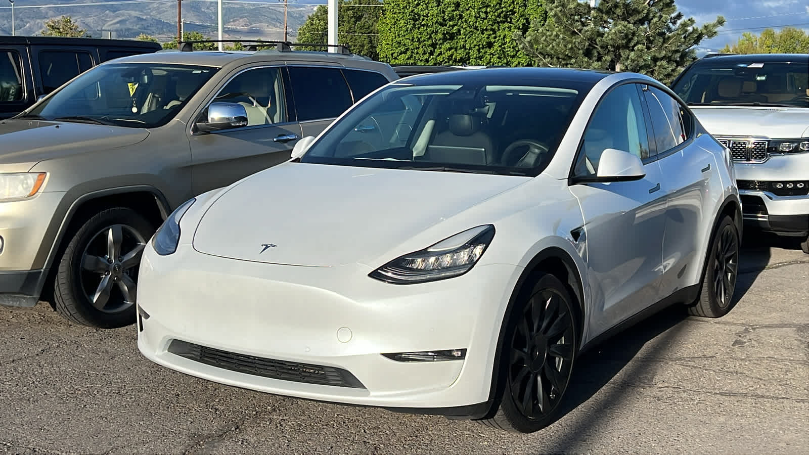 2021 Tesla Model Y