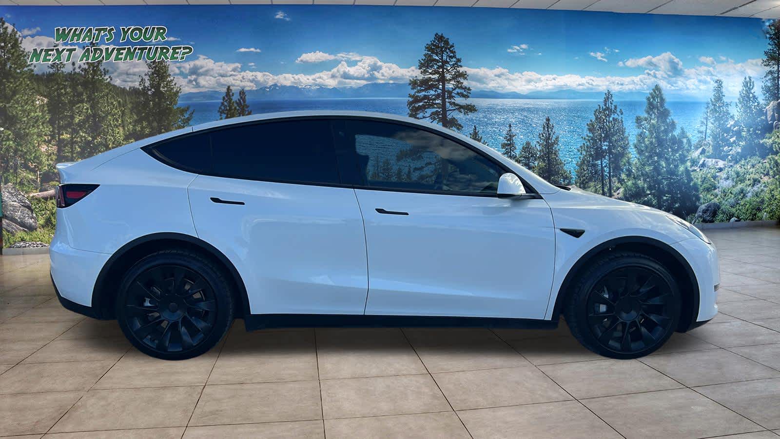 Thumbnail: 2023 Tesla Model Y - 4