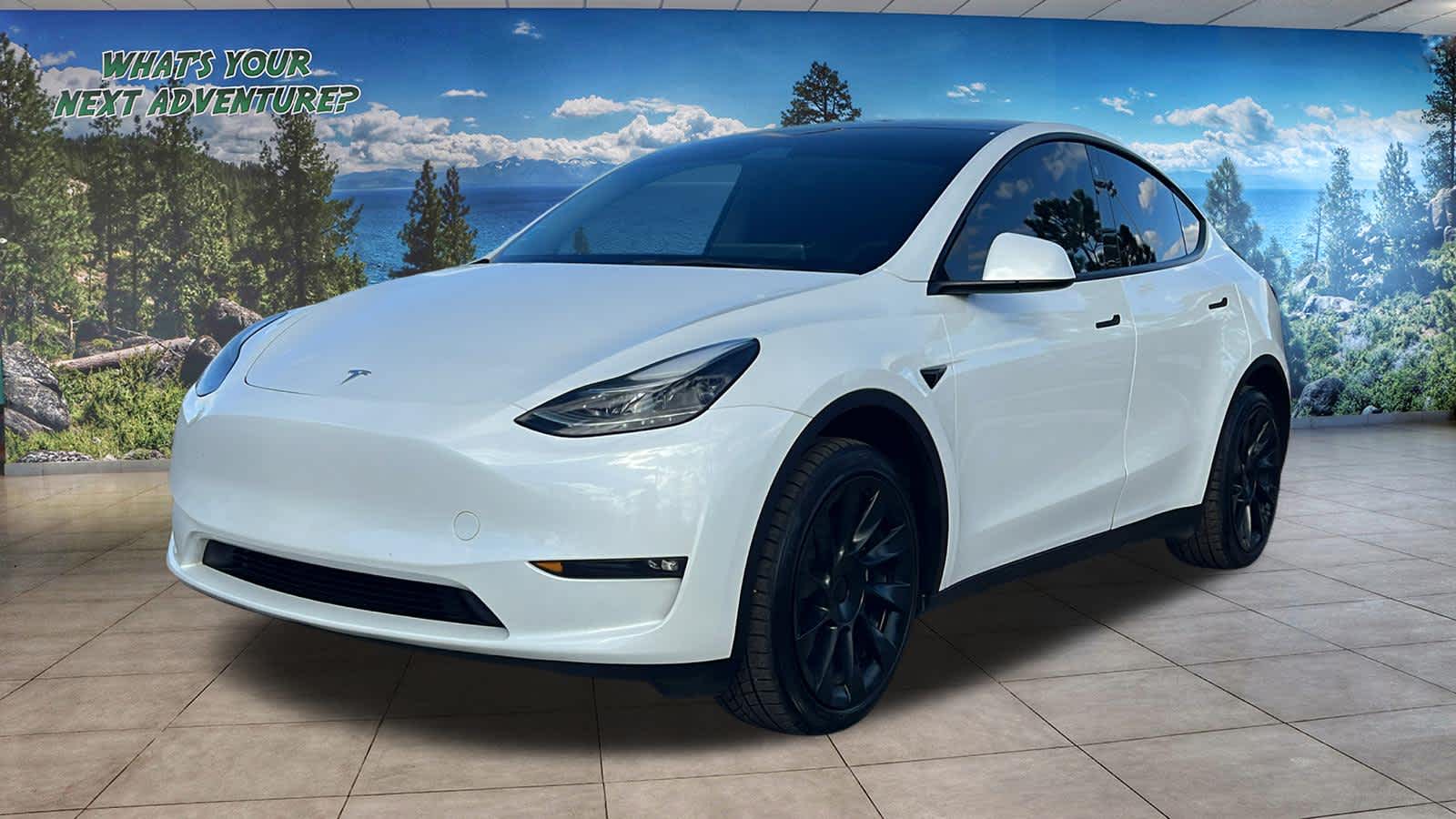 Thumbnail: 2023 Tesla Model Y - 1