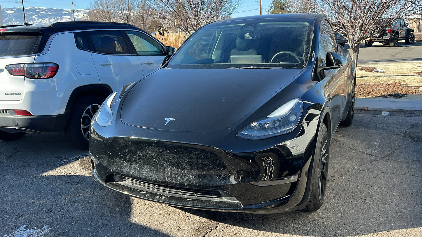 2023 Tesla Model Y Long Range's photo