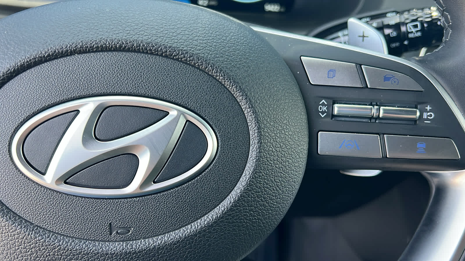 Thumbnail: 2025 Hyundai Palisade - 20