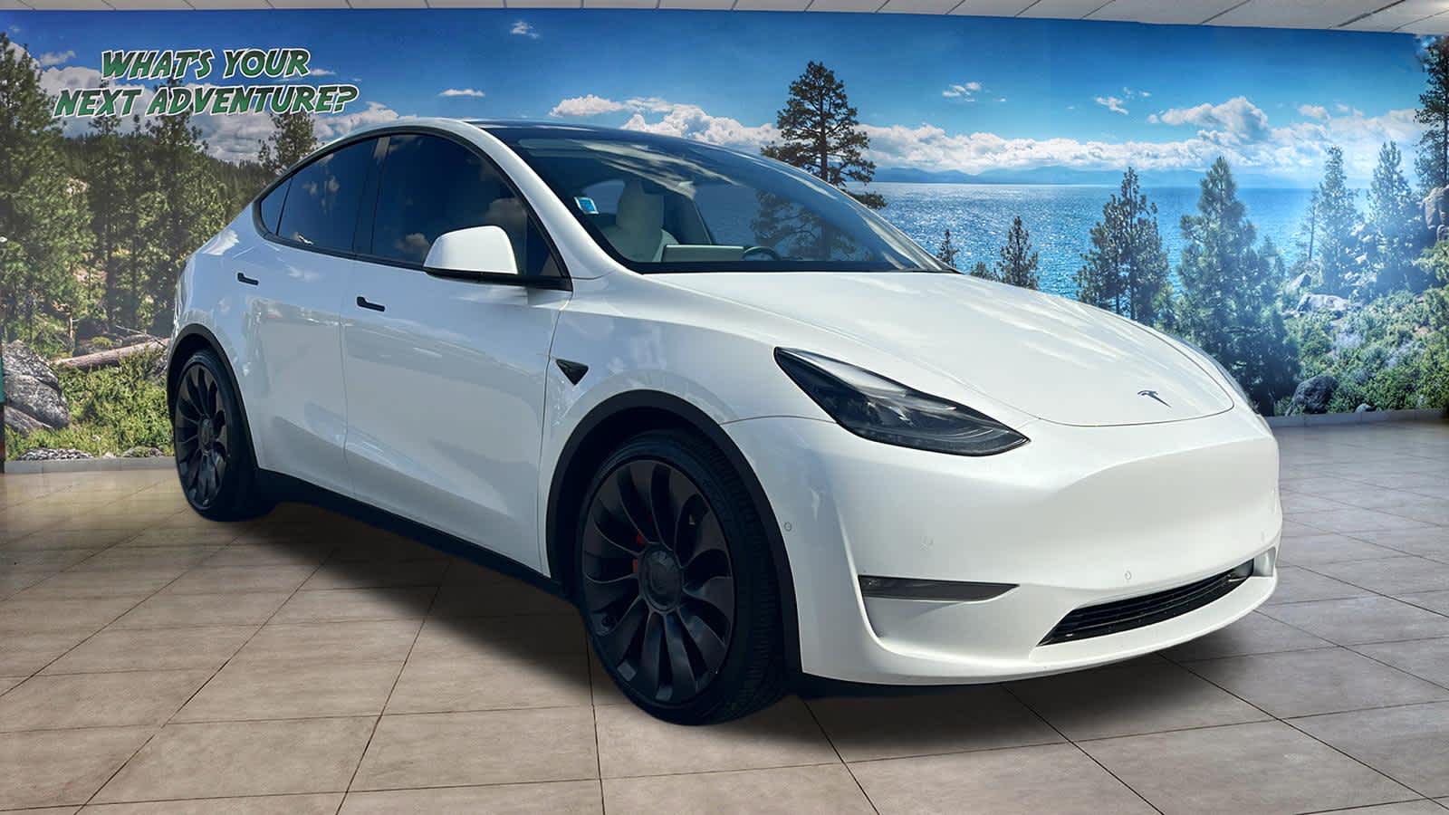 Thumbnail: 2022 Tesla Model Y - 3