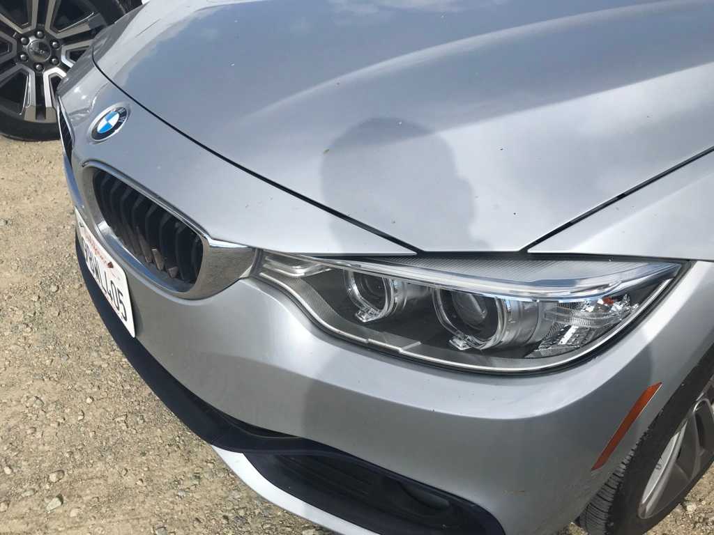 Thumbnail: 2016 BMW 4 Series - 11