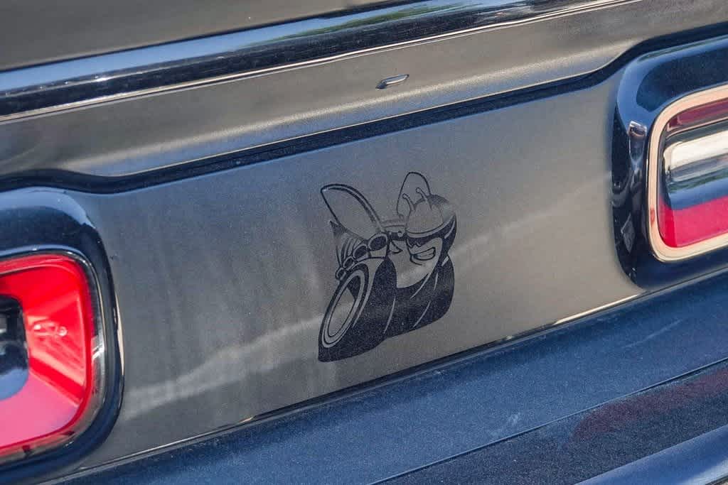 Thumbnail: 2019 Dodge Challenger - 14