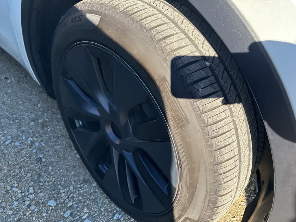 Thumbnail: 2025 Tesla Model Y - 4