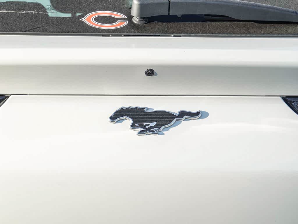 Thumbnail: 2022 Ford Mustang Mach-E - 14