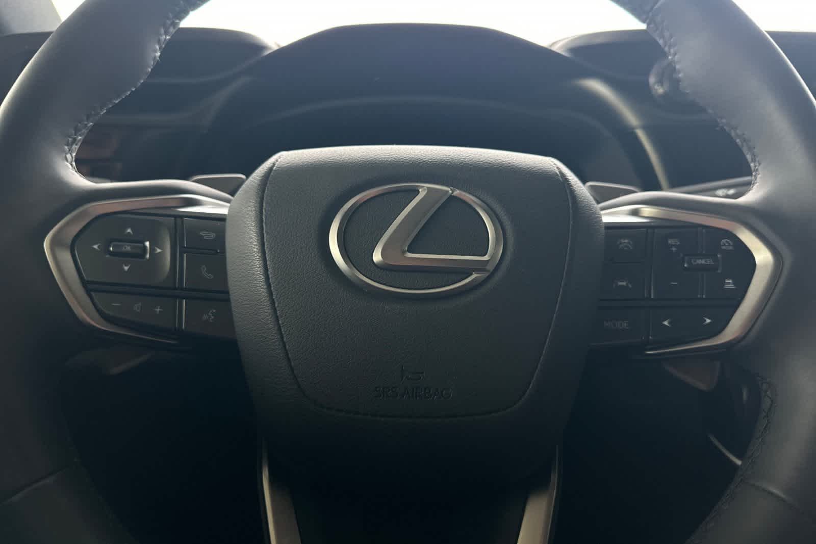 Thumbnail: 2024 Lexus RZ - 28