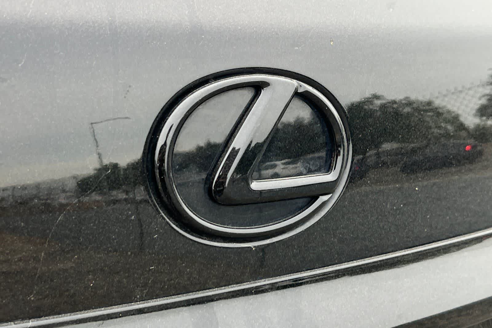 Thumbnail: 2014 Lexus RX - 13