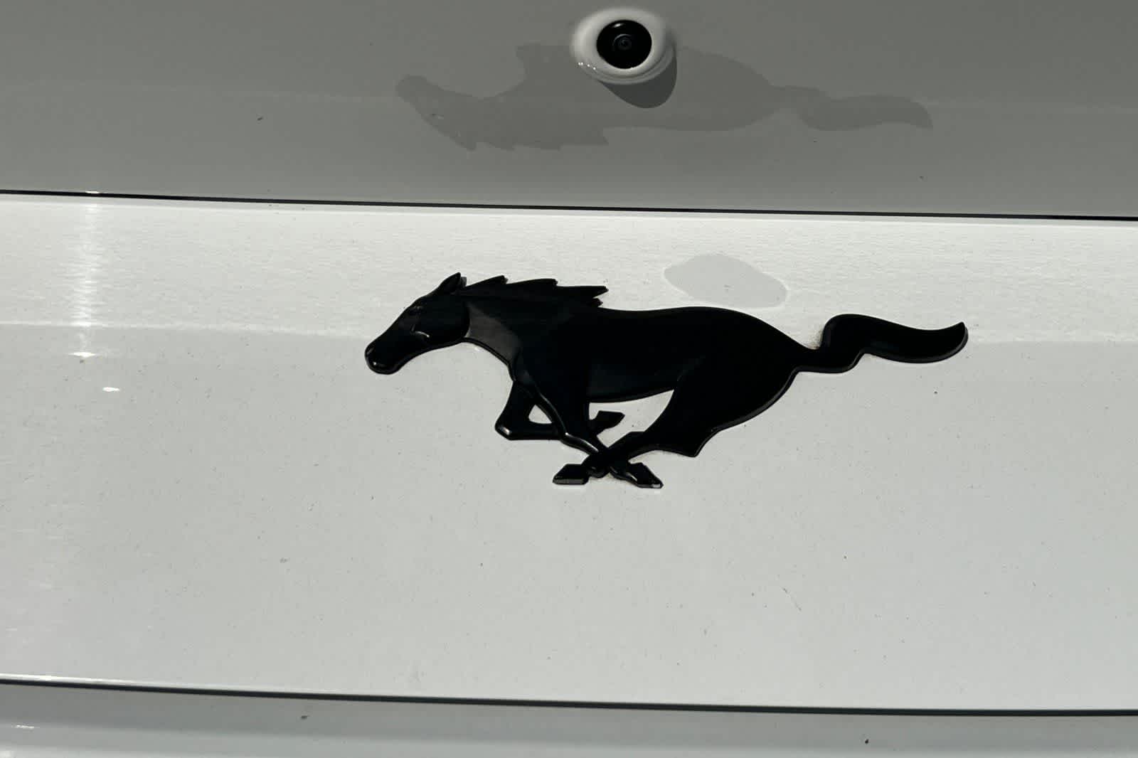 Thumbnail: 2024 Ford Mustang - 13