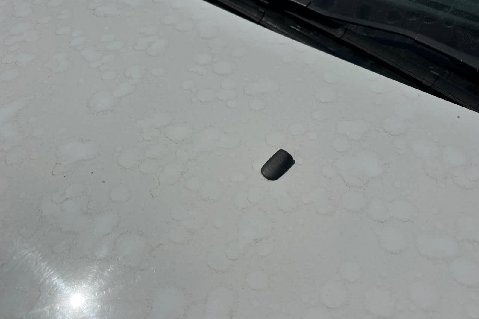Thumbnail: 2014 Ford Focus - 14