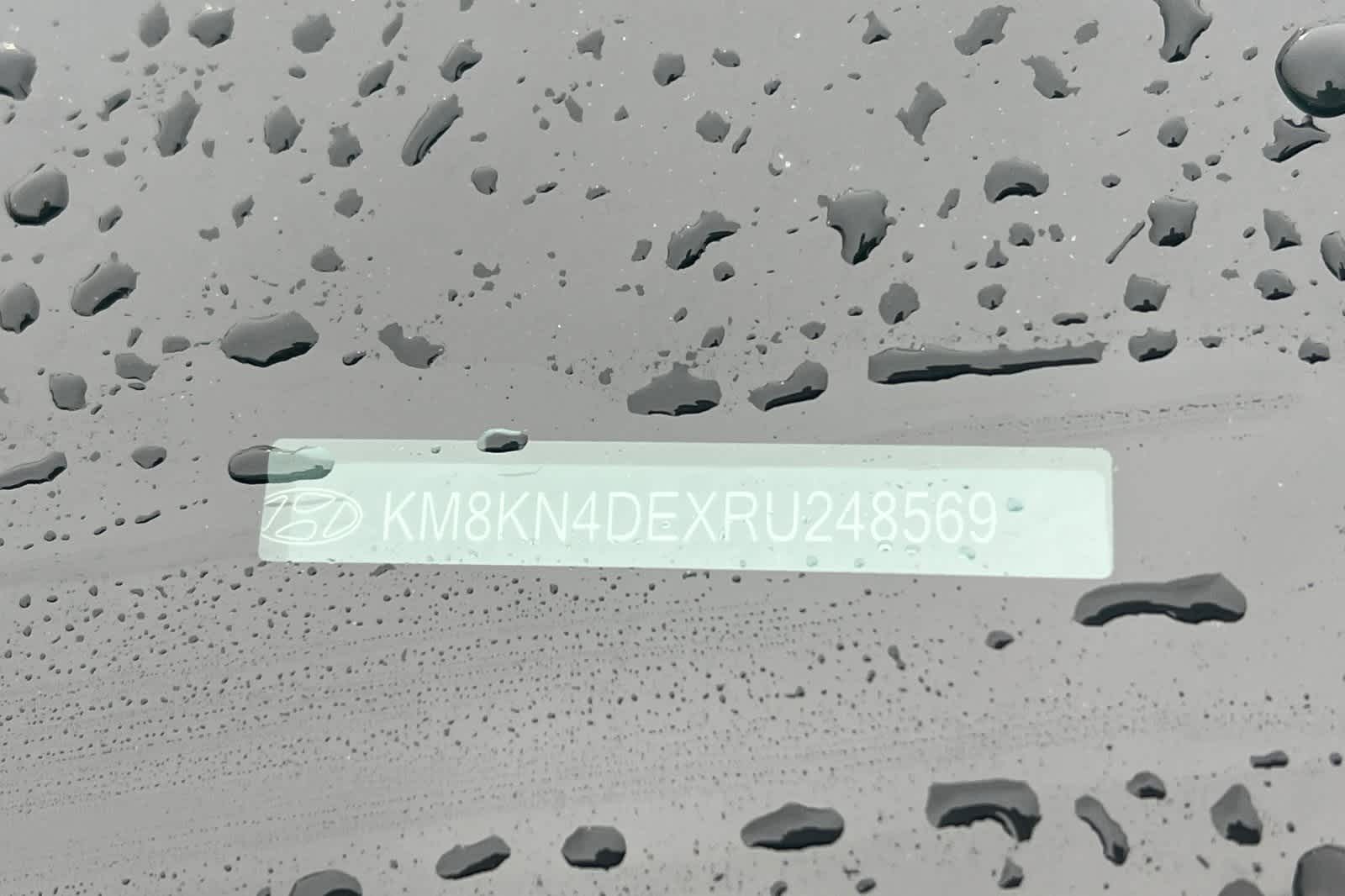 Thumbnail: 2024 Hyundai Ioniq 5 - 31