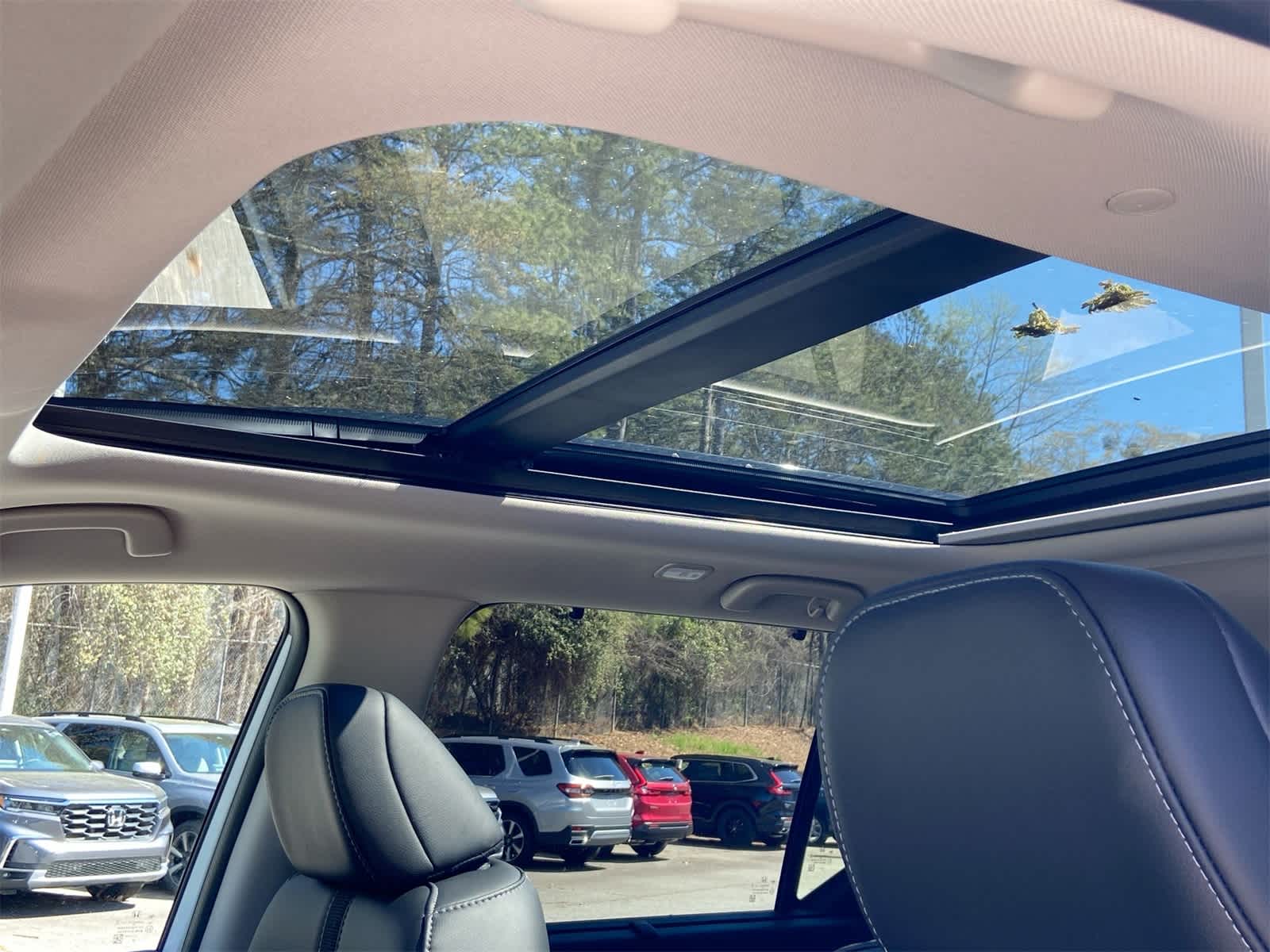 Thumbnail: 2025 Honda Pilot - 14