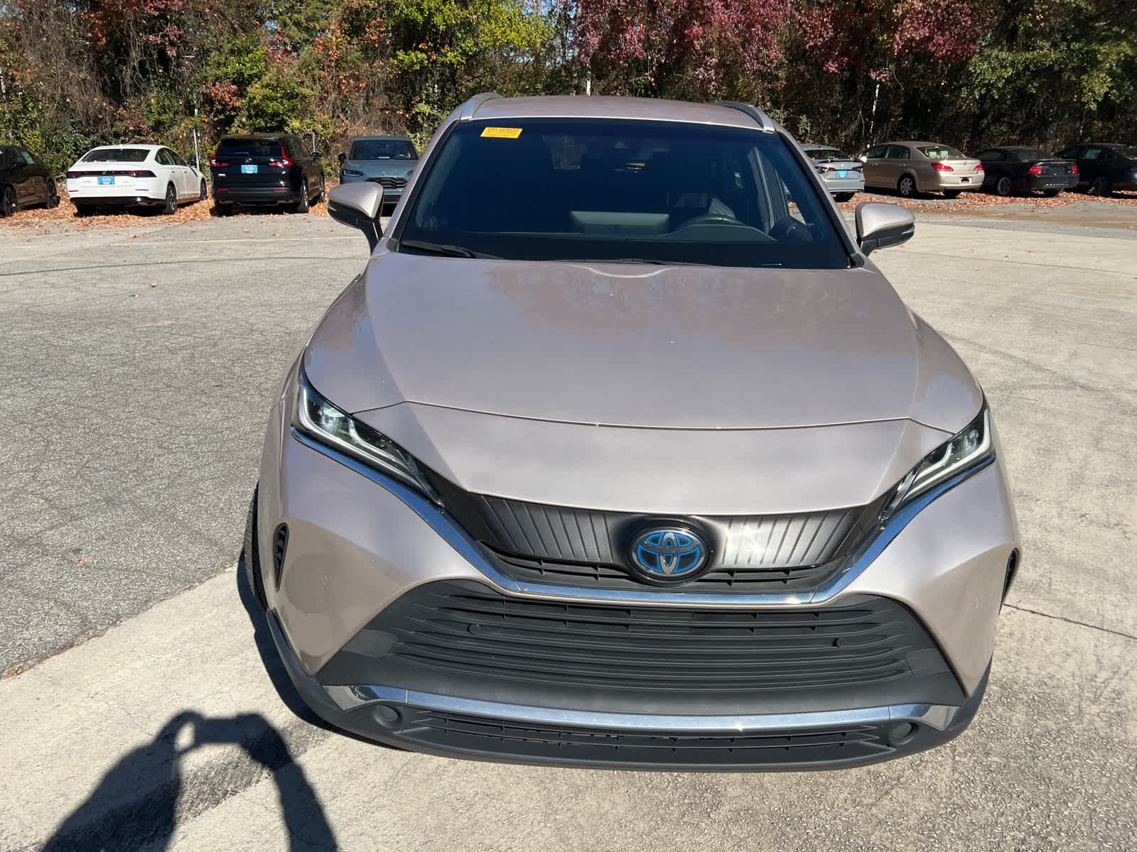 Thumbnail: 2021 Toyota Venza - 14