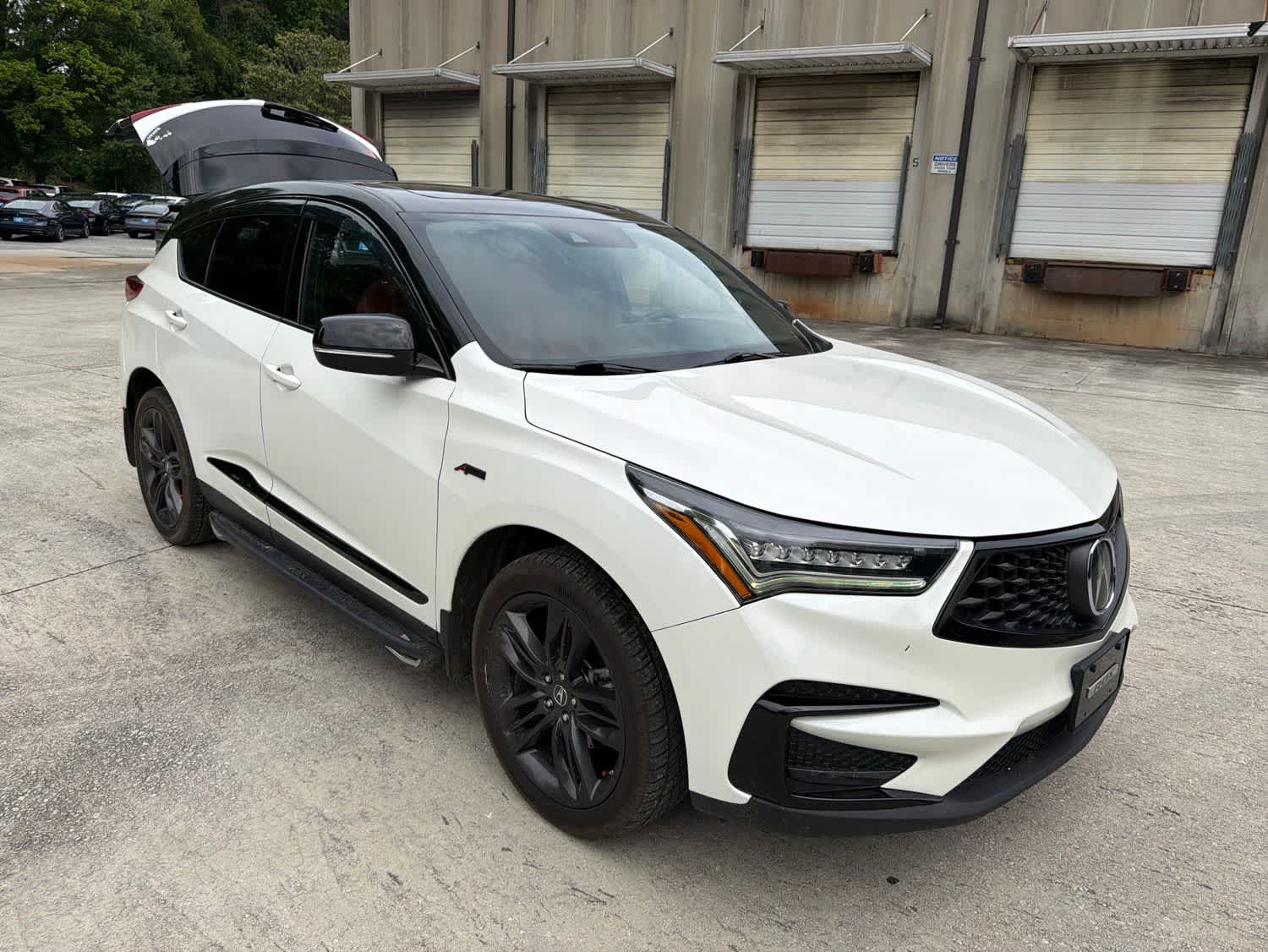 Thumbnail: 2019 Acura RDX - 13