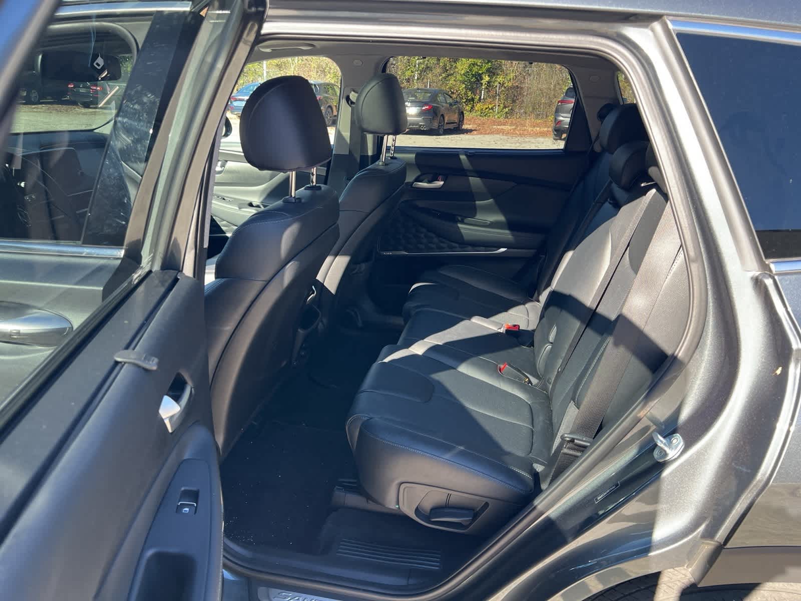 Thumbnail: 2019 Hyundai Santa Fe - 16