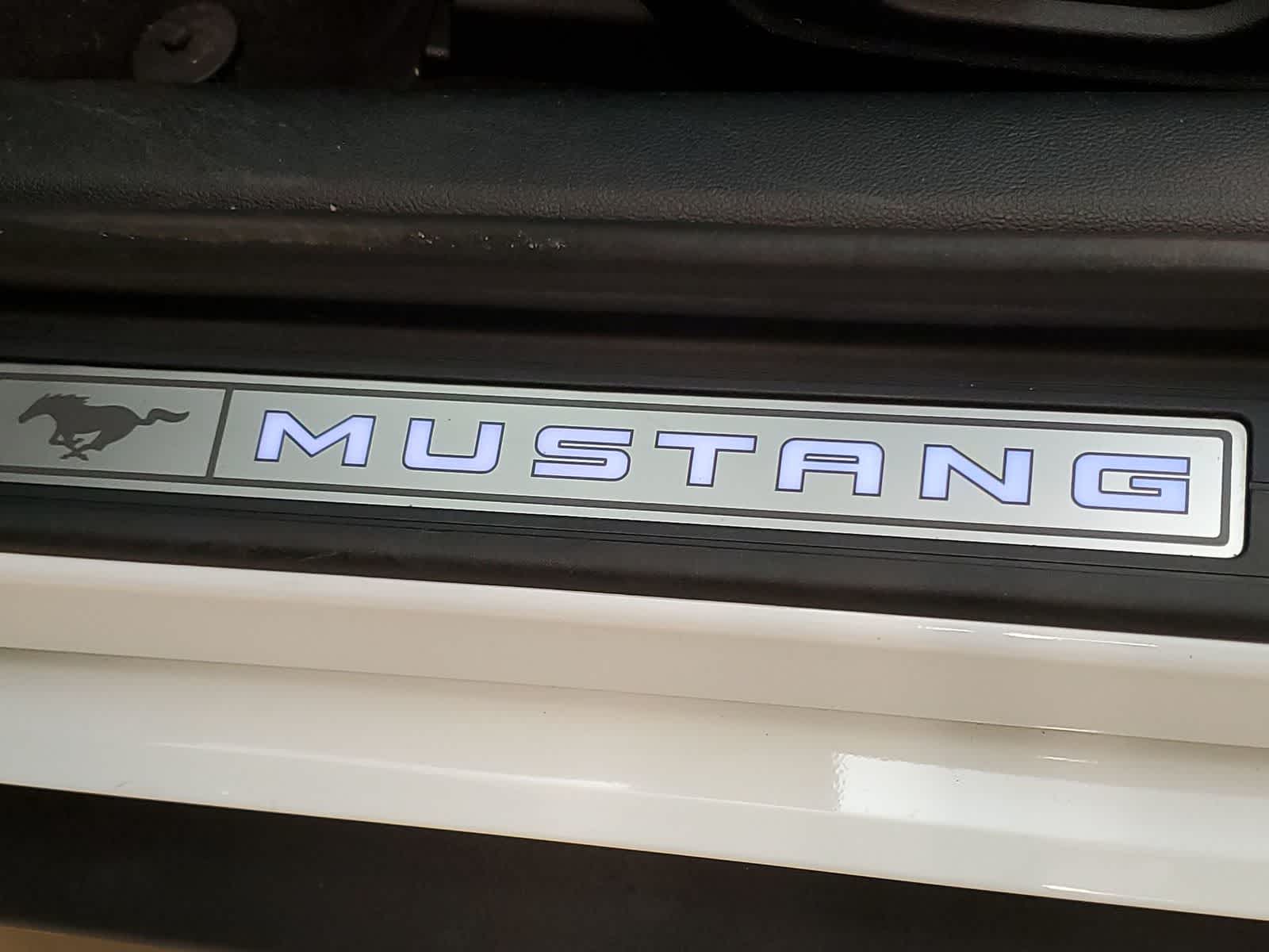 Thumbnail: 2022 Ford Mustang - 20