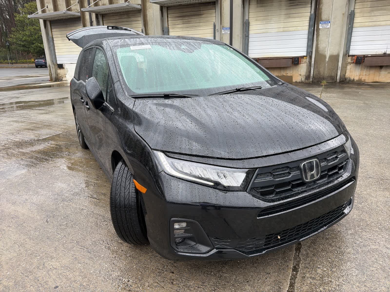 Thumbnail: 2025 Honda Odyssey - 13