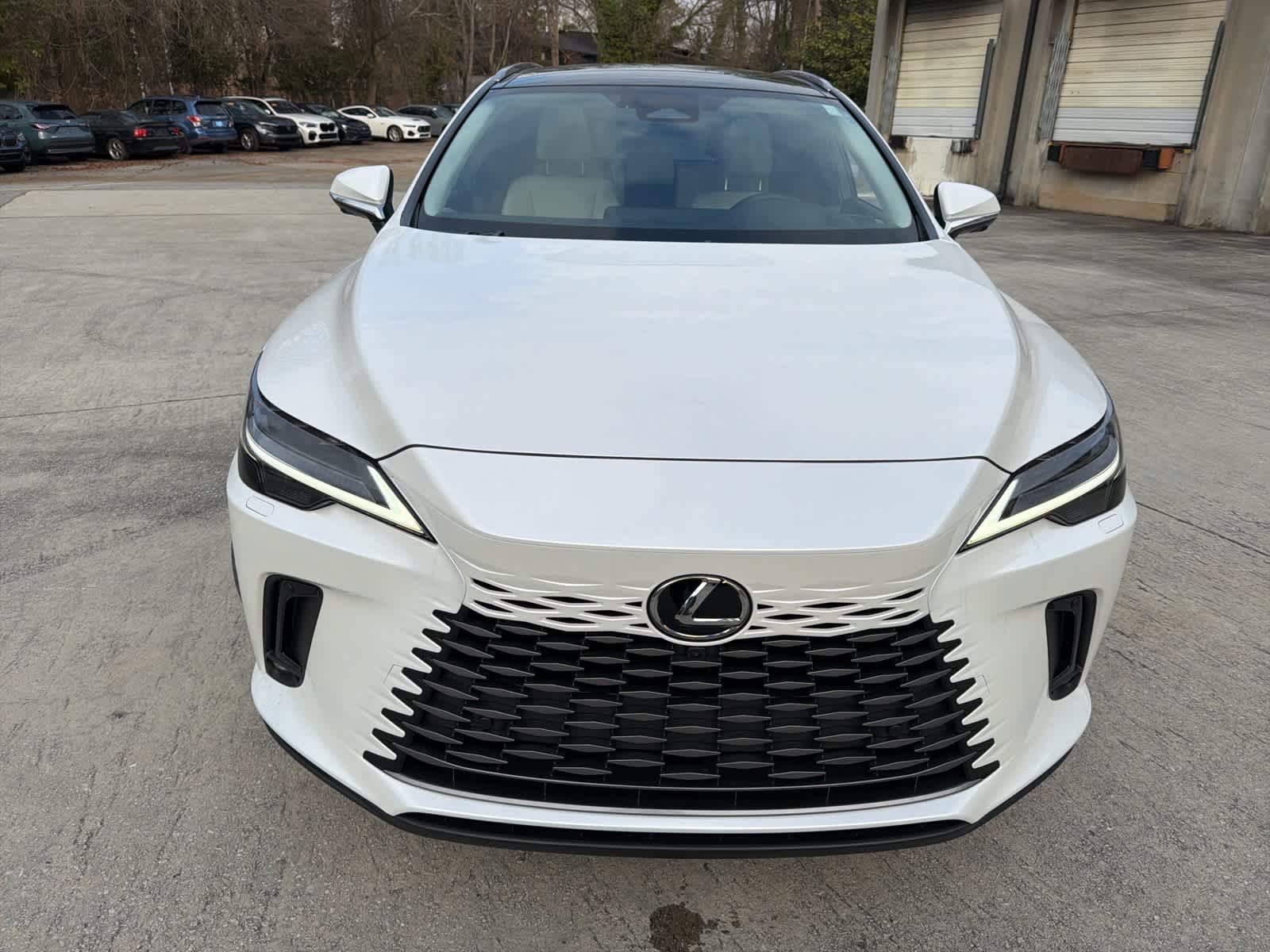 Thumbnail: 2025 Lexus RX - 15