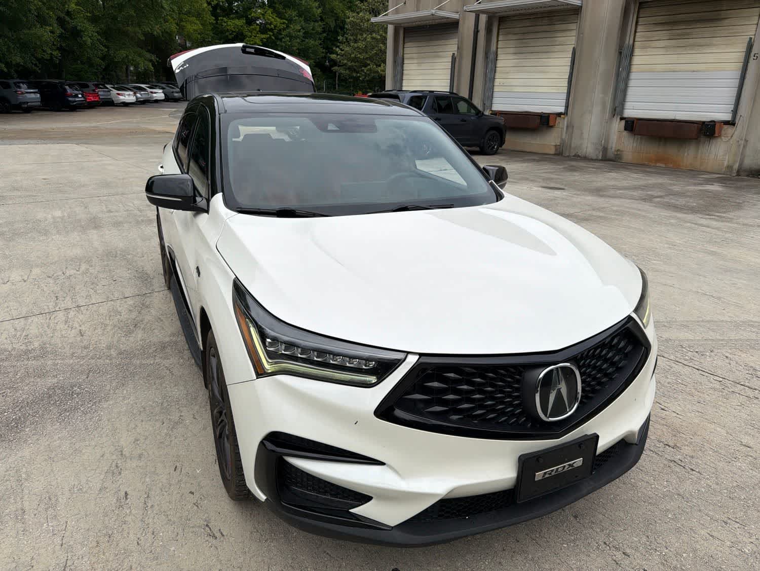 Thumbnail: 2019 Acura RDX - 14