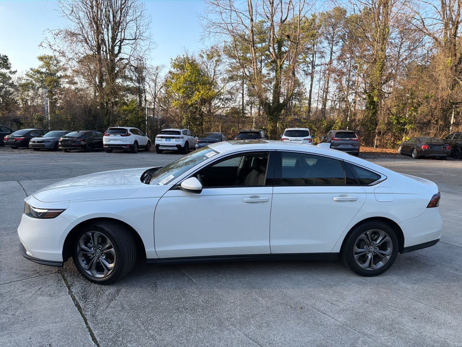 Thumbnail: 2024 Honda Accord - 6