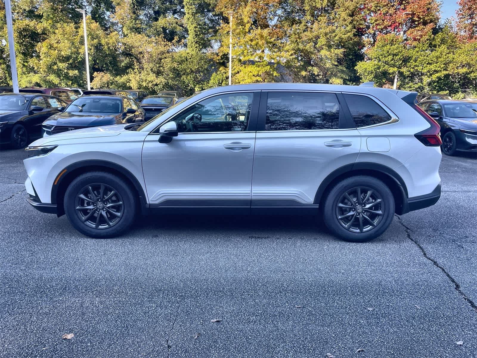 2026 Honda CR-V EX-L photo 2